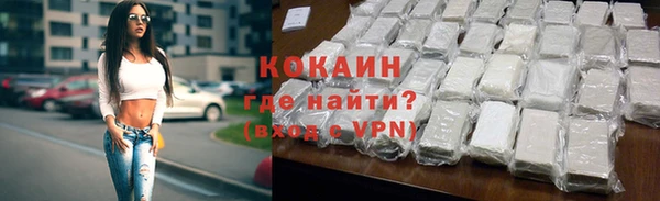амф Дубна