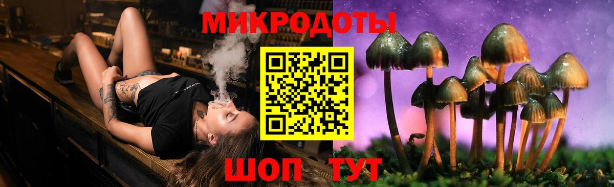 Железногорск  Псилоцибиновые грибы Cubensis  где продают   Вход с VPN 